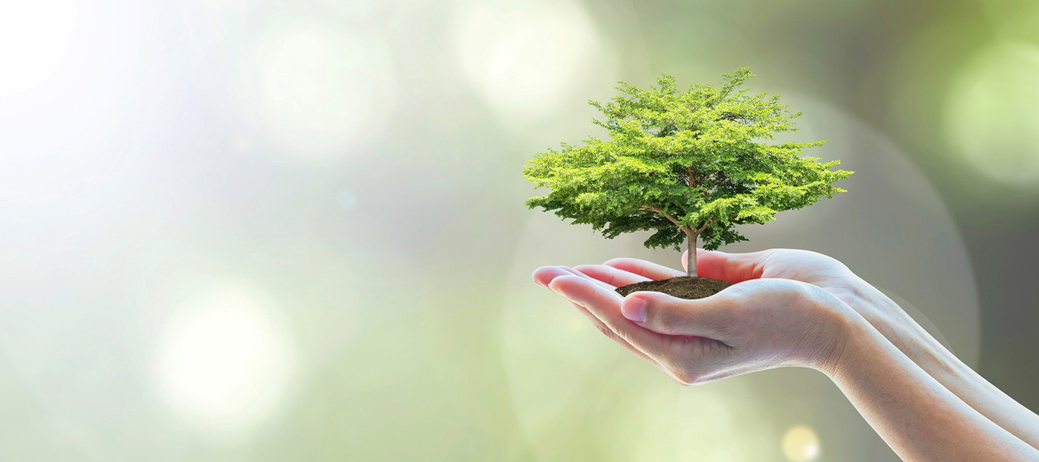 自然のイメージ画像